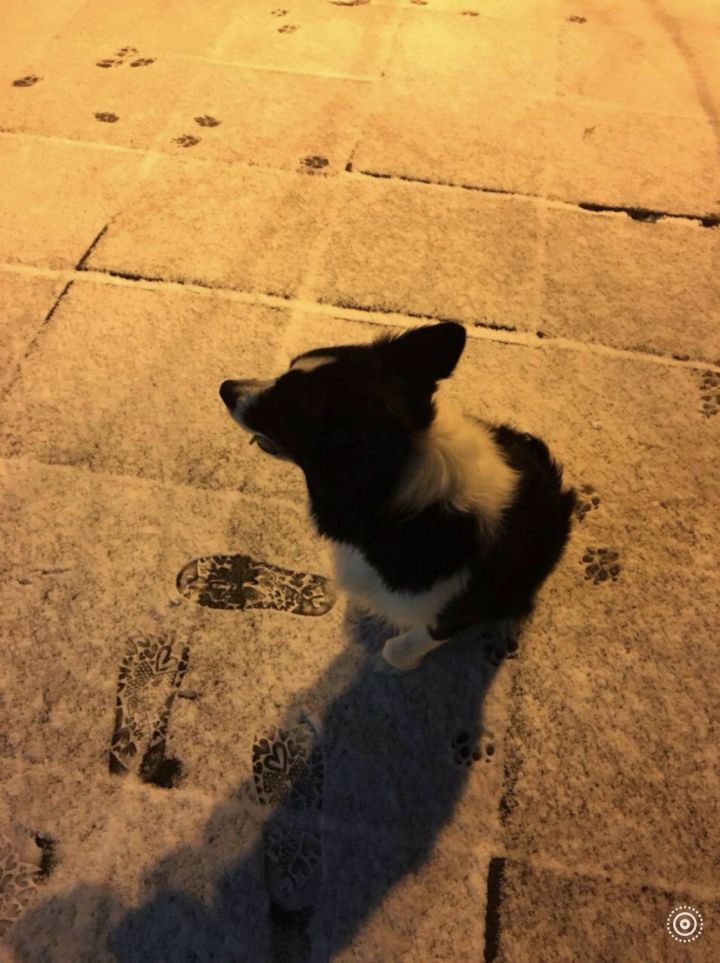 人生灰暗时刻，一支口红拯救了我