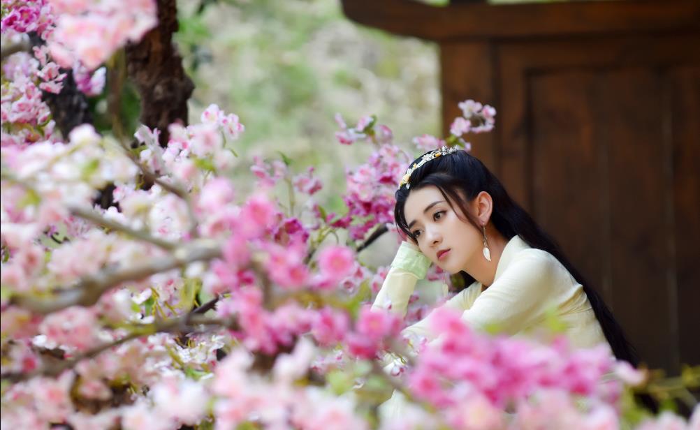 观宋词填词120首,观宋填词完整版免费