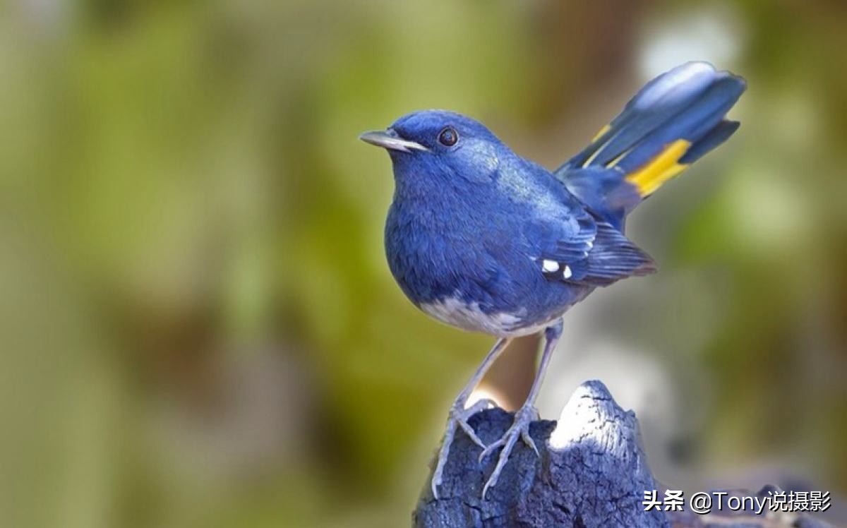 为什么专业摄影拍出来的照片失真,摄影拍的人像照片怎么那么歪