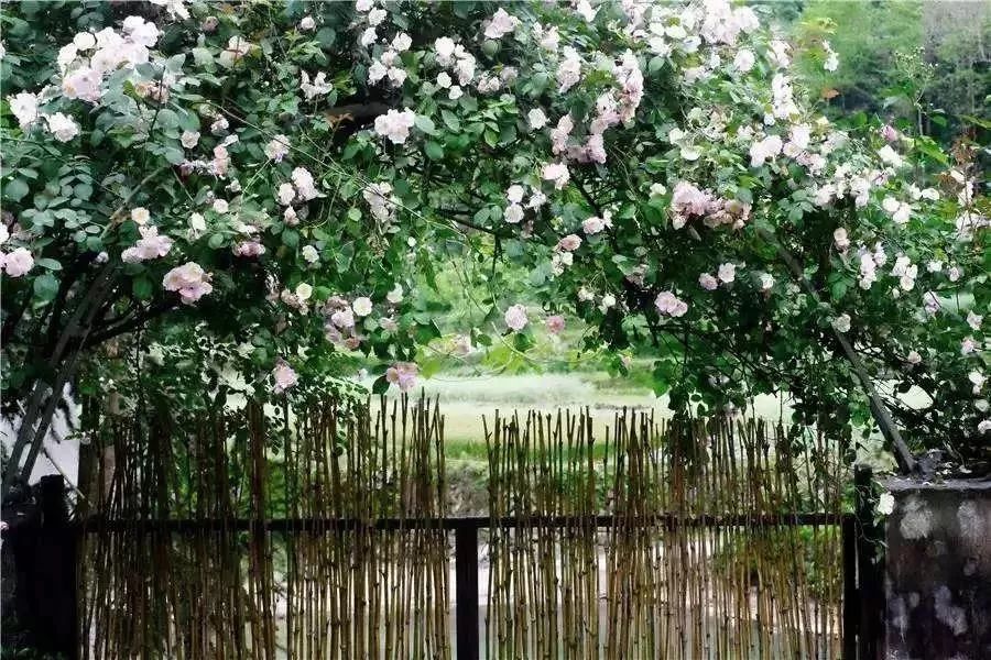 楠溪江好的精品民宿哪家比较好,楠溪江民宿客栈排名前十