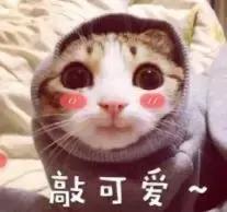 我竟然用一支口红的钱,承包了超市的半个货架?!