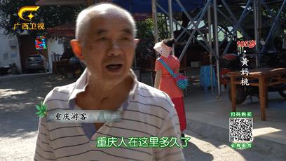 巴马长寿之乡候鸟老人,巴马为什么吸引成千上万的候鸟人