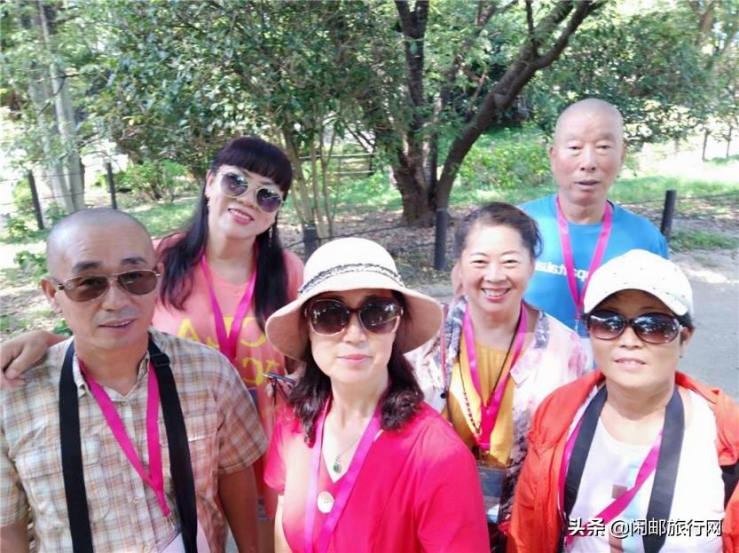 歌诗达邮轮新浪漫号模型,歌诗达新浪漫号购物