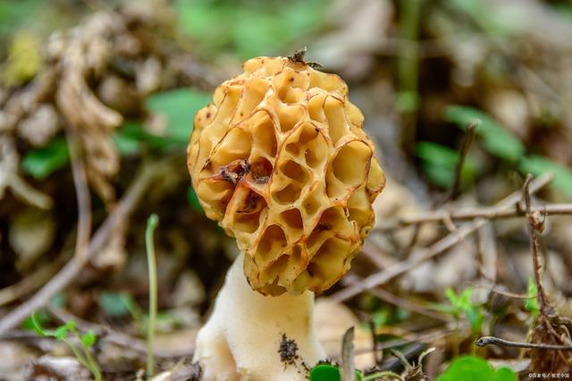 你想活出怎样的人生宫崎骏影评,宫崎骏书籍你想活出怎样的人生