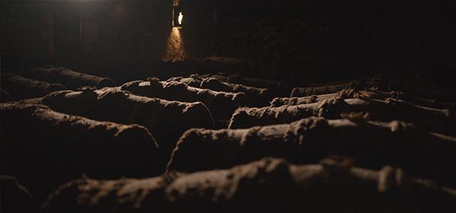 30000一瓶的路易十三,跟路易十三差不多价格的洋酒