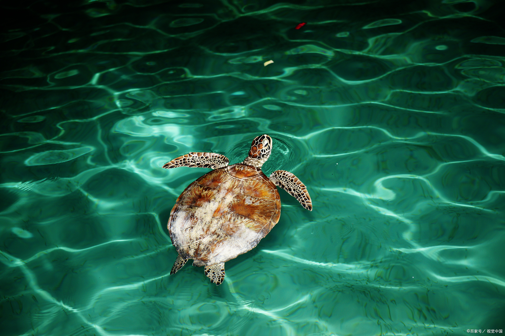 周易奇门遁甲与期货交易,周易指导期货交易