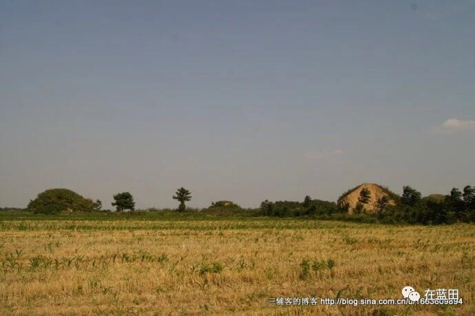 猪年写猪词,猪年像猪一样的吉祥话