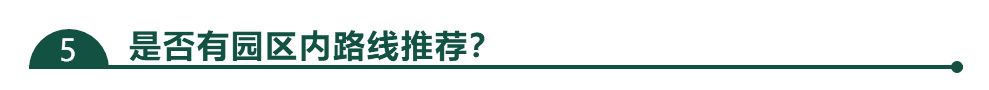 带孩子去长隆旅行攻略,长隆旅游攻略亲子游省钱攻略
