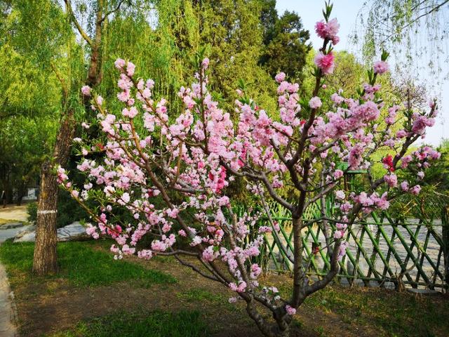 英语单词美句经典,英文美句带翻译励志