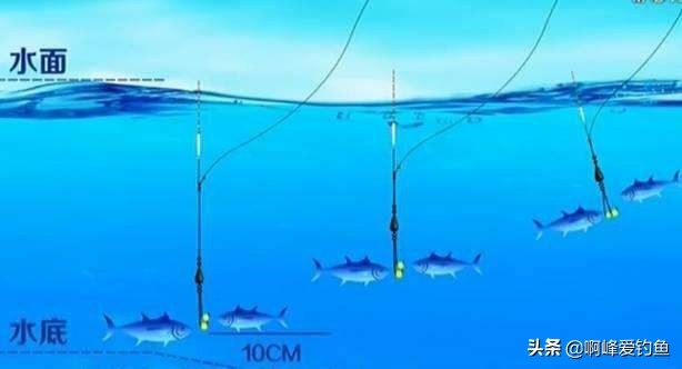 野钓知识大全，新手福音，初钓者必须了解的一些知识，收藏吧！