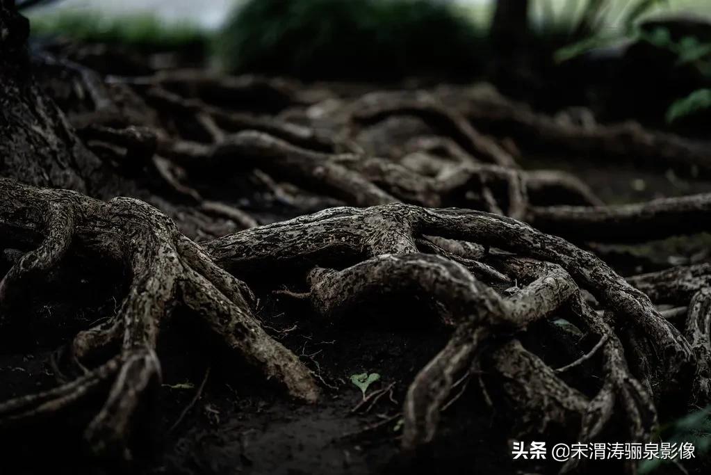 开箱lp电吉他,开箱fpv图传