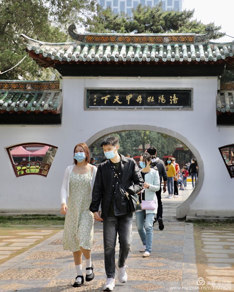 看洛阳牡丹花卉节,洛阳古都牡丹花展