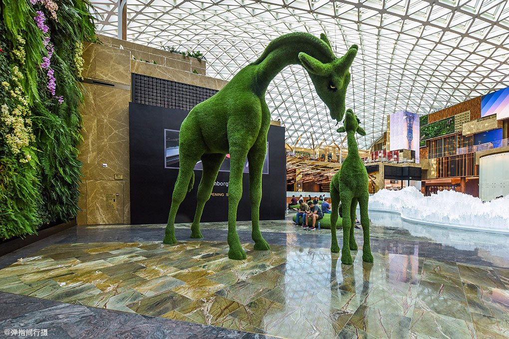 值得收藏的澳门旅游攻略,澳门旅游最全最详细攻略