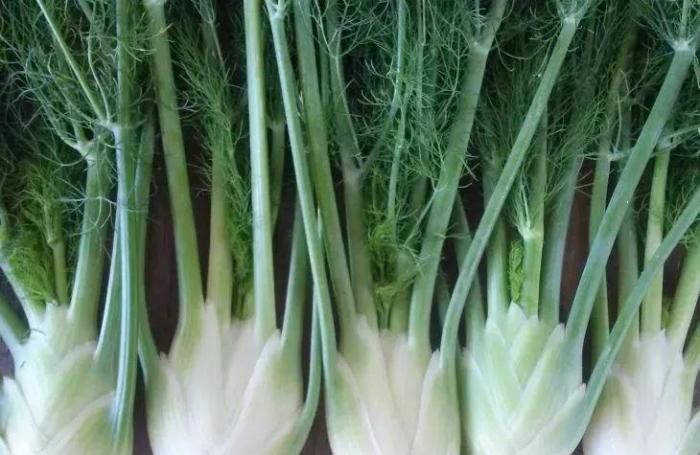 几种养在一起可以互相促进生长的蔬菜,还能很好地减少病虫害