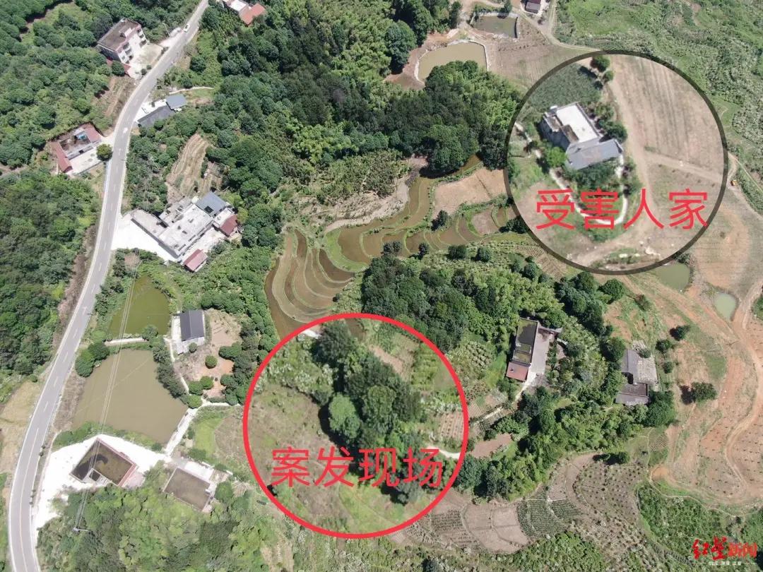 四川宜宾性侵学生案,14岁少年性侵杀害表姐案