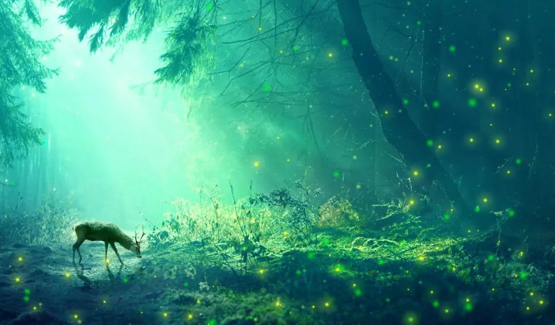 中小学语文常考的100个成语,高中语文常考成语积累及解释200个