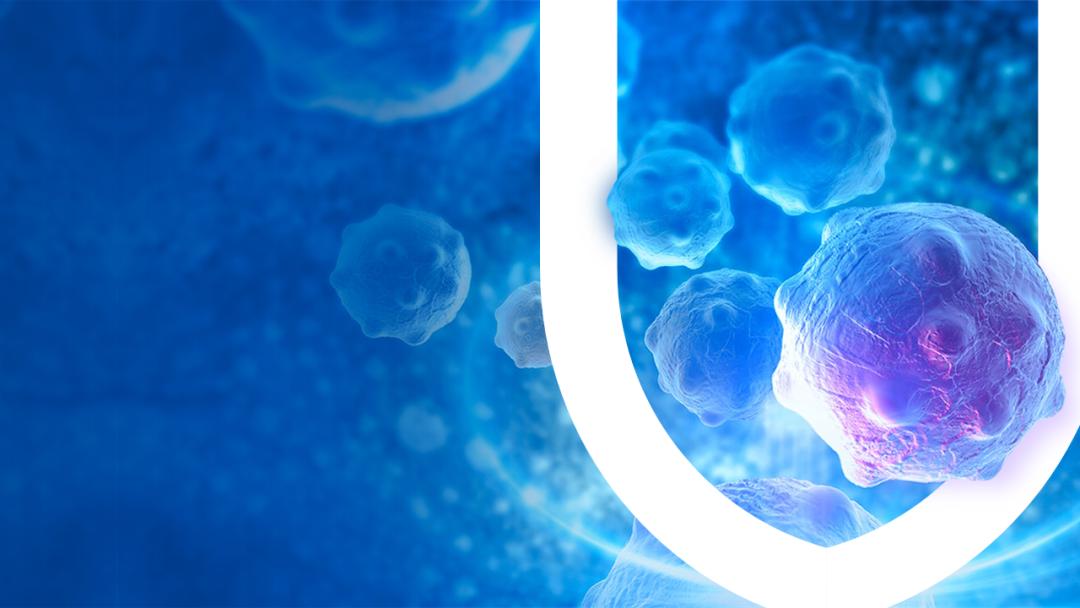 ppt中许多照片怎样处理好看,ppt中的图片式表格怎么处理