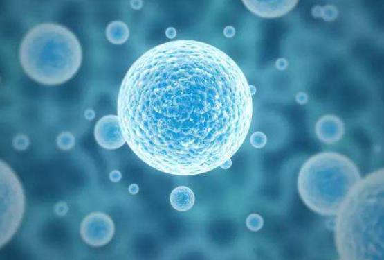 干细胞治疗肝脏疾病，疗效惊人！（内附案例分享）