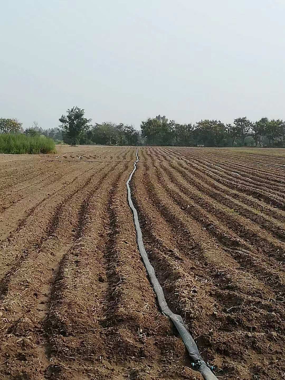 历史和未来,夹心层未央宫简介