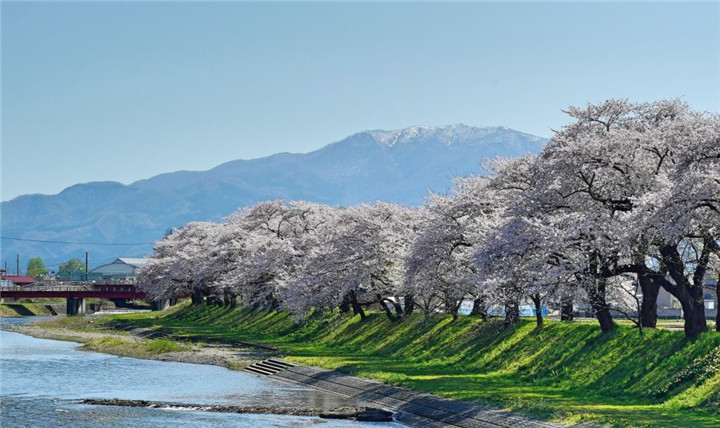 冲田总司基本资料,冲田总司最后一剑