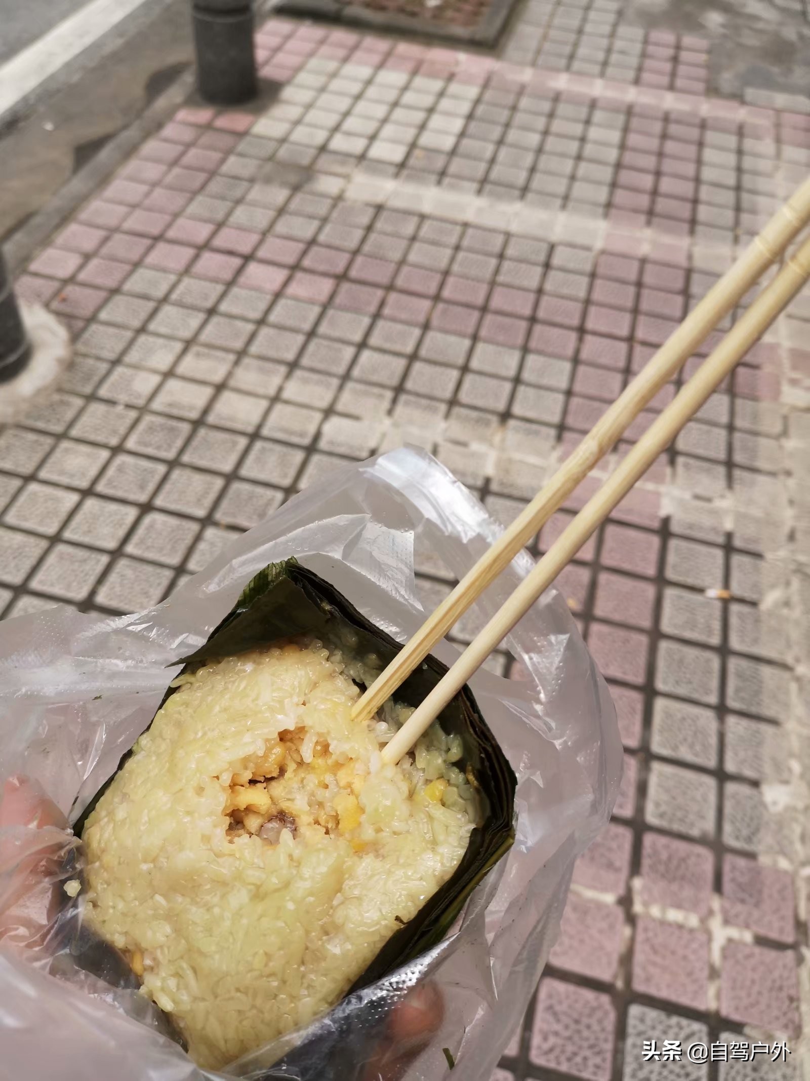 广东鼎湖山景区在哪,肇庆鼎湖山是四大名山之首