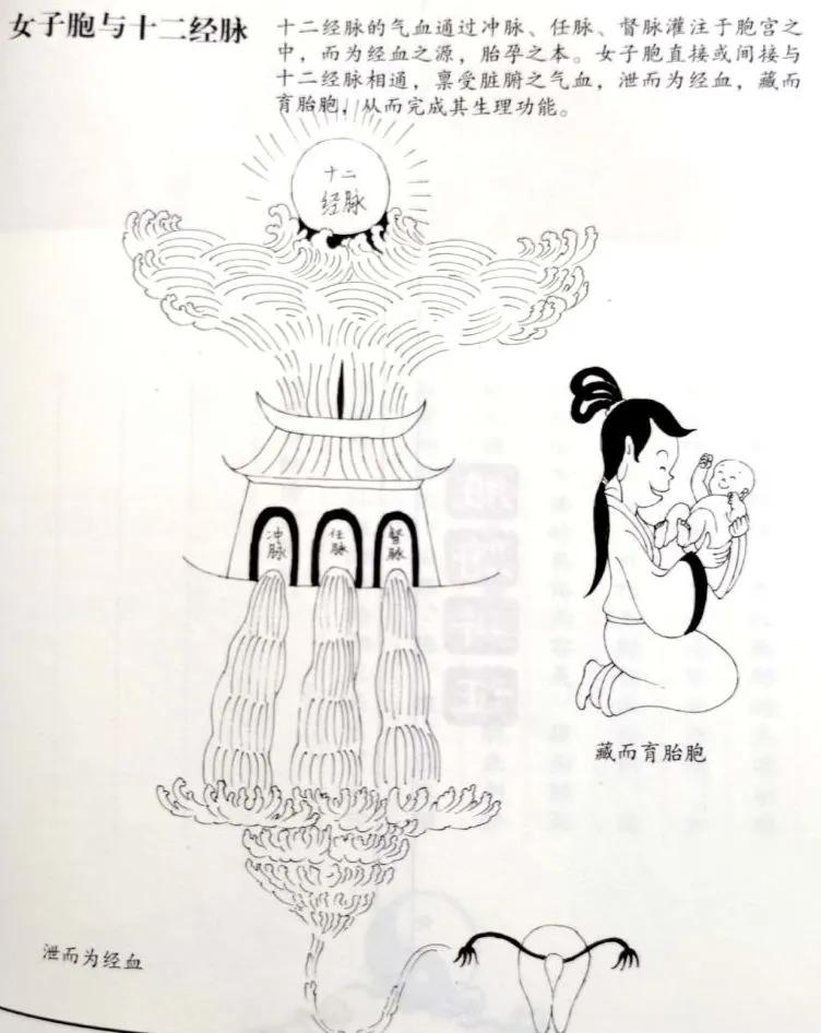 奇恒之腑的解释,奇恒之腑是指哪