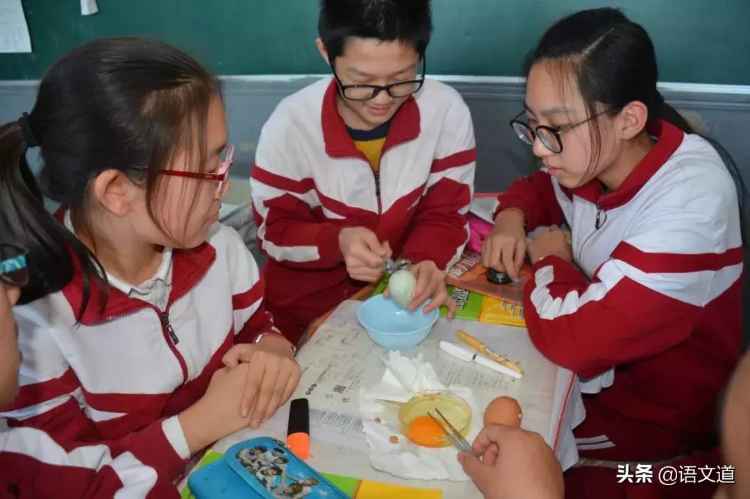 大连市甘井子区汇文中学,大连甘井子区汇文中学的学区分配