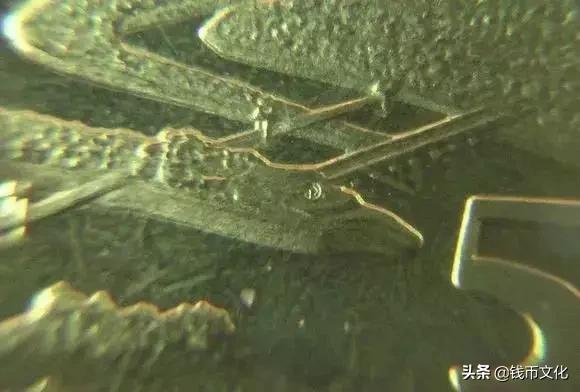 所有纪念币暗记图片,纪念币收藏记住这五点