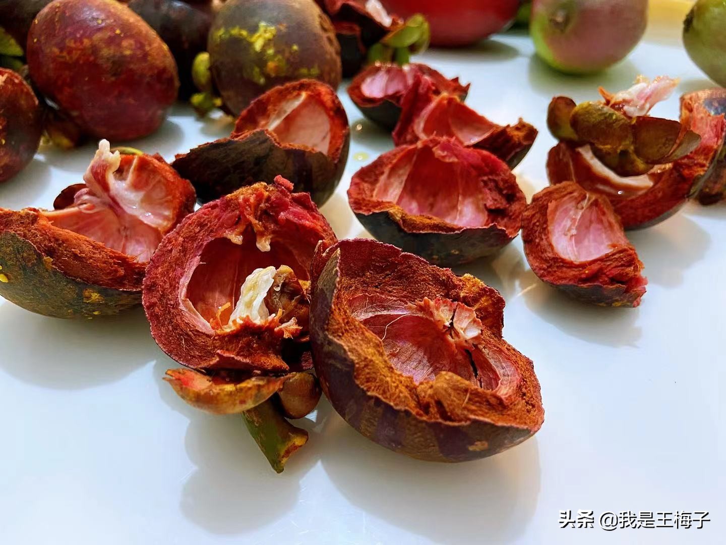 山竹一棵能结果吗,山竹一棵树产量大为什么这么贵