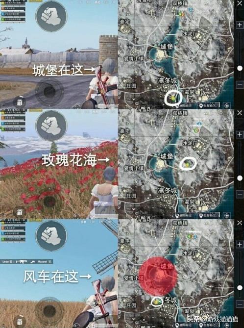 和平精英打卡地点情侣必去,和平精英特训岛的玫瑰花在哪