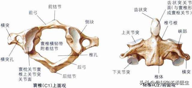 医生,我有颈椎病但不想手术!嗯,你每天跑步就能好,你信不信?