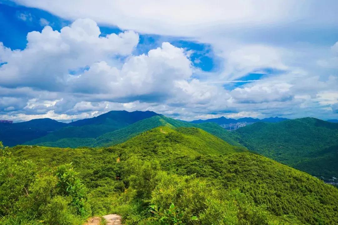 香港冬天徒步麦理浩径攻略,香港麦理浩徒步路线
