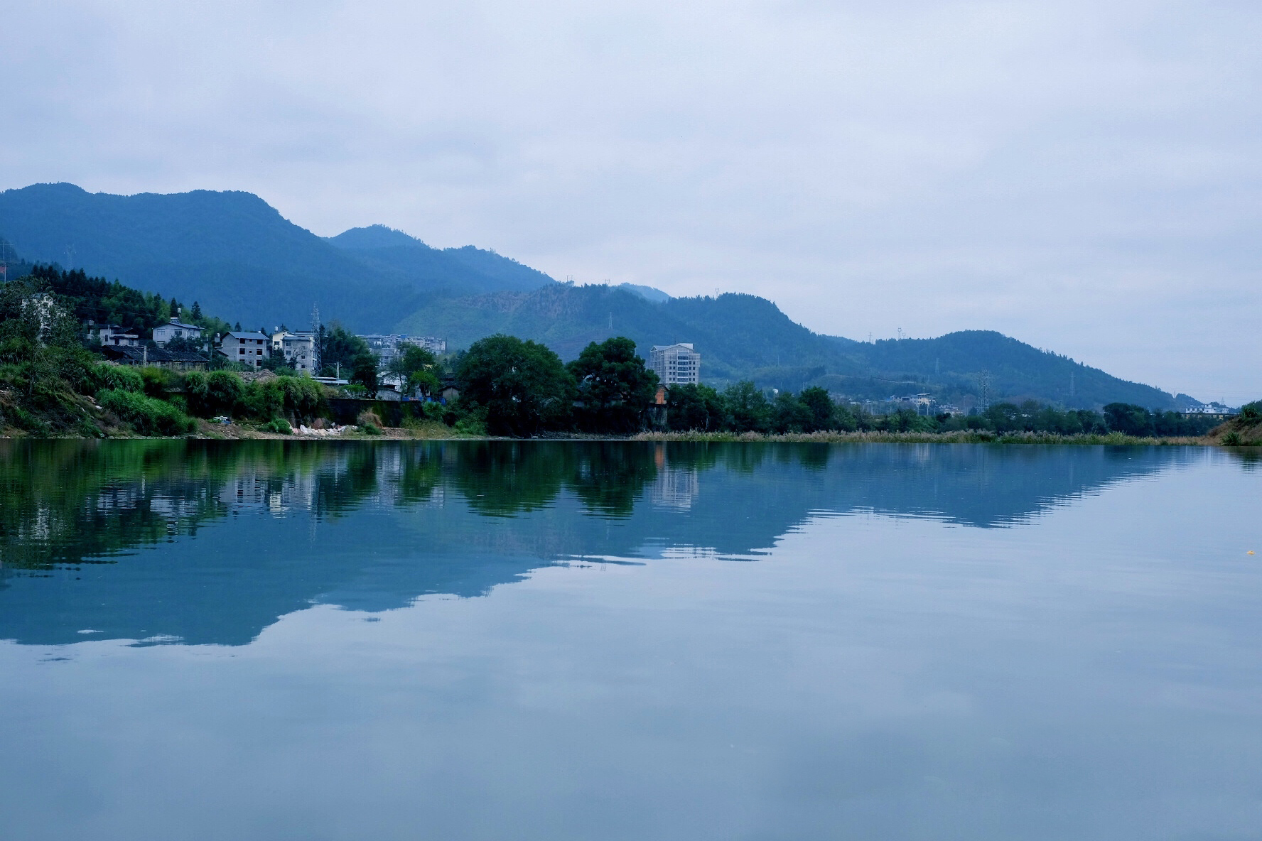 从业十年我所经历的火爆和低迷,茶行业真实揭露