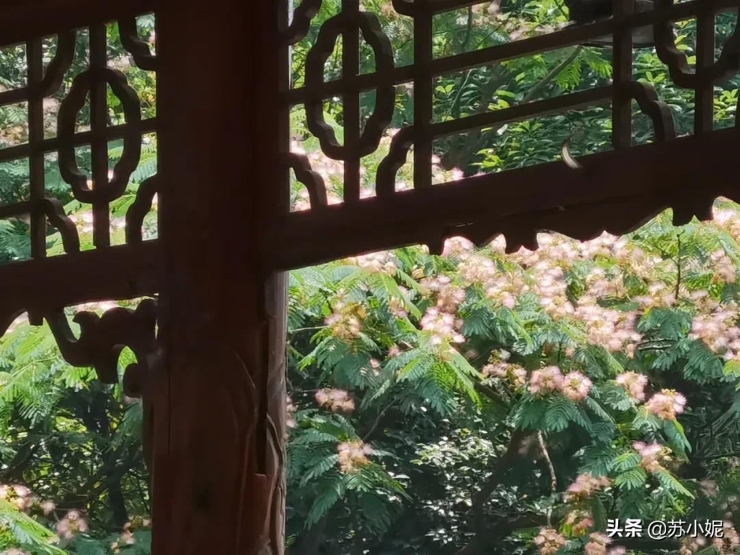 行走贵州旅行,贵州游记第五站西江千户苗寨