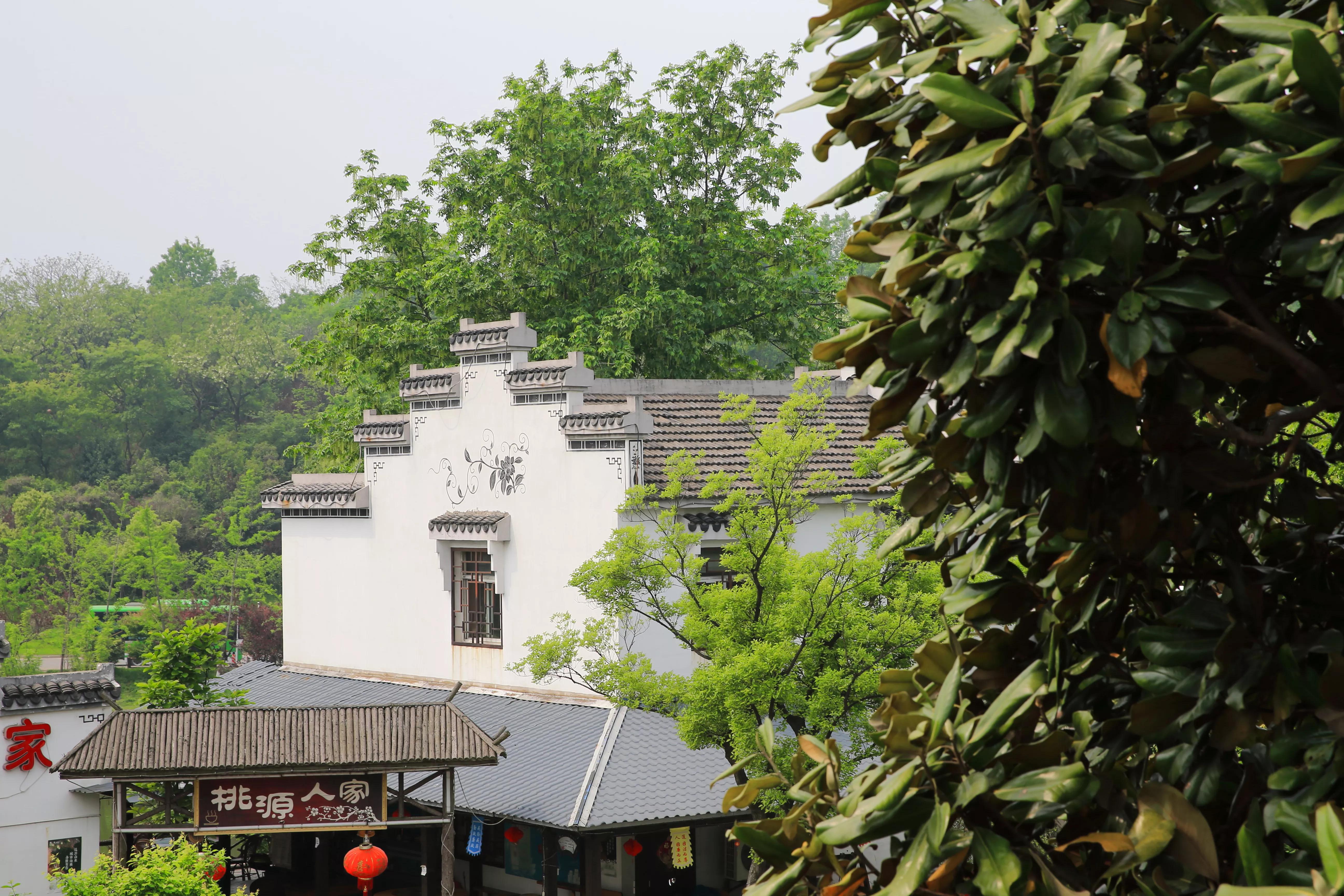 世凹桃园,世凹桃源图片