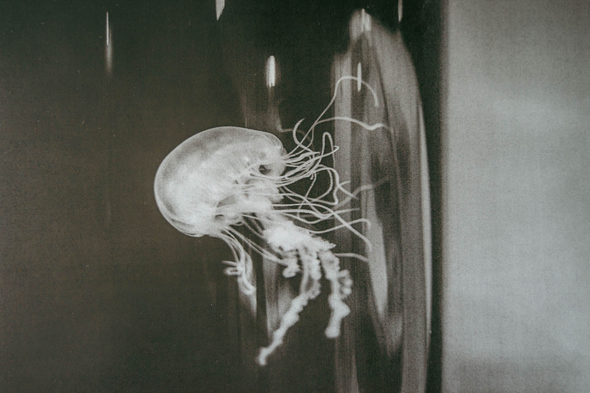 有了它再也不用去给打印店做贡献了，一部老年机的钱，全家都能用