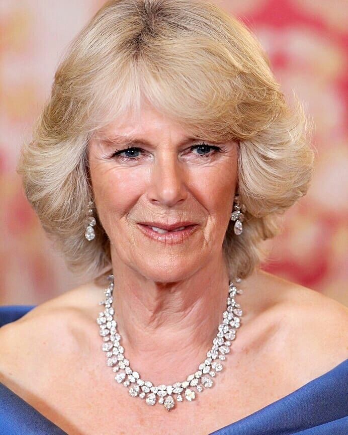 戴安娜和卡米拉一样的项链,卡米拉也戴戴安娜留下的珠宝