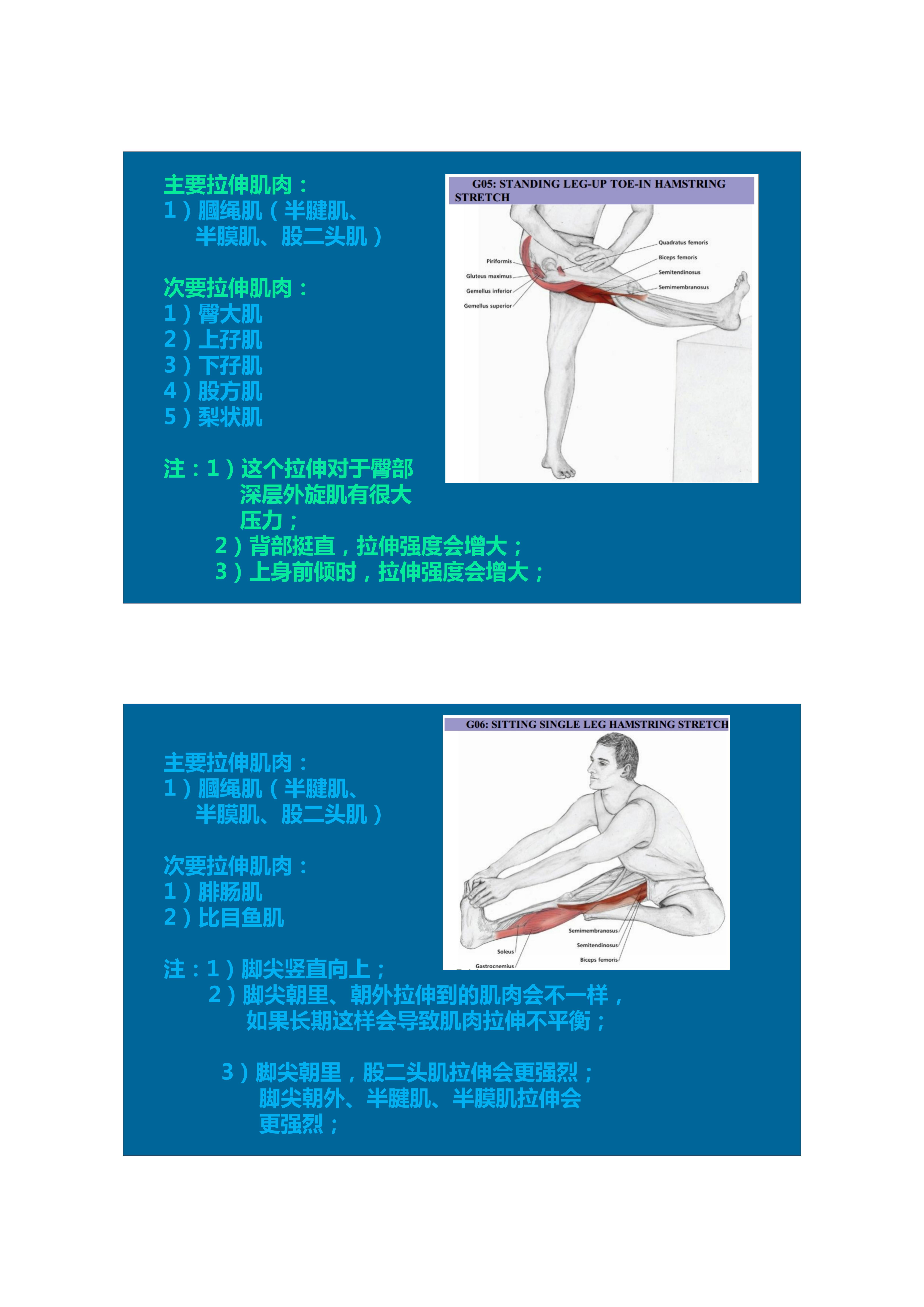 1分钟拉伸动作视频,拉伸腿部技巧