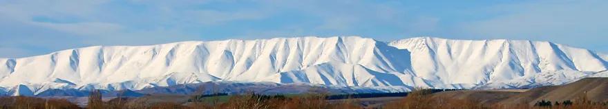 鍗楀矝鏈哄満,鍗楀矝妯辨鑺卞洯