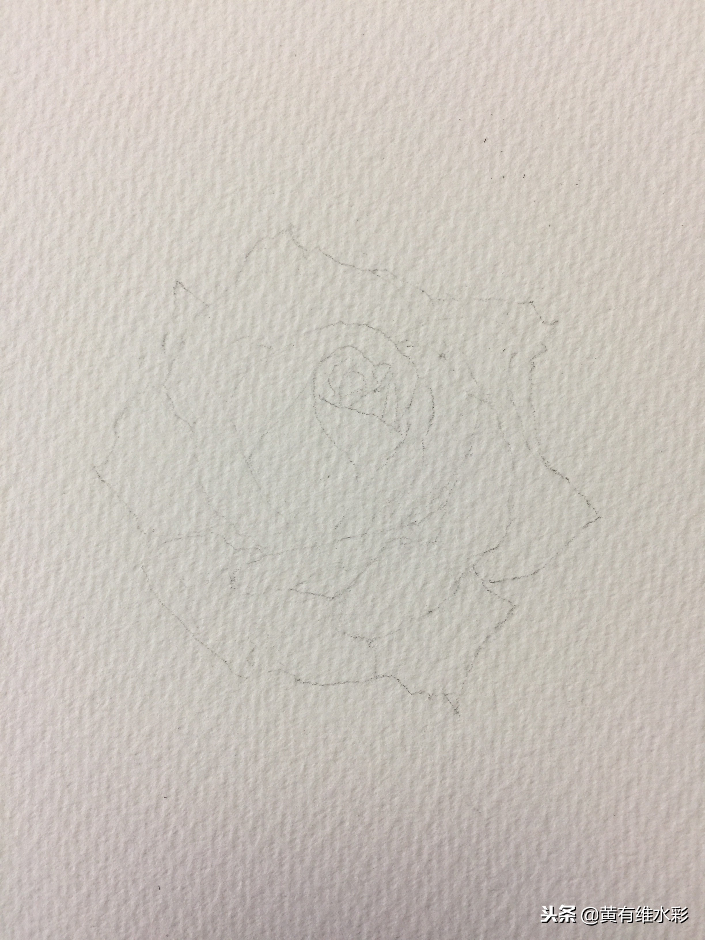 零基础入门水彩的基本画法,黄玫瑰水彩晕染