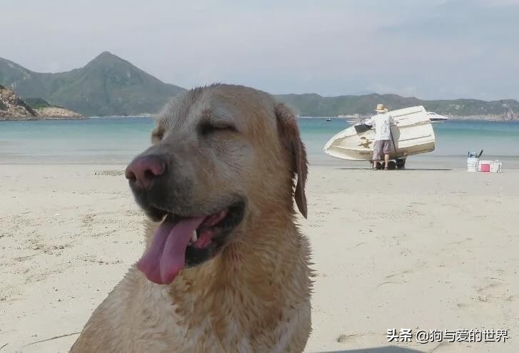 尔冬升怼哭郭敬明的时候 (尔冬升怼哭郭敬明是炒作吗)