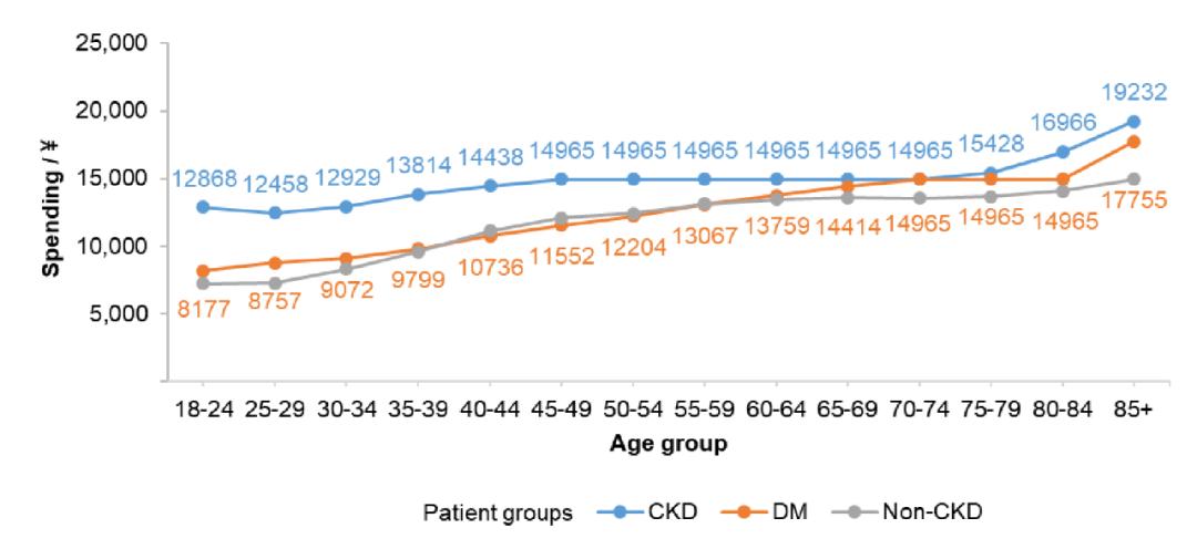 怎么做才能延缓慢性肾脏病恶化,慢性肾脏病的健康管理