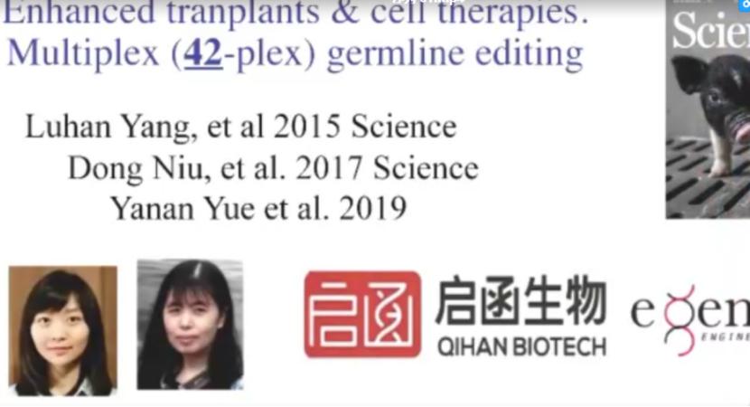 基因合成生物学,合成生物学与基因