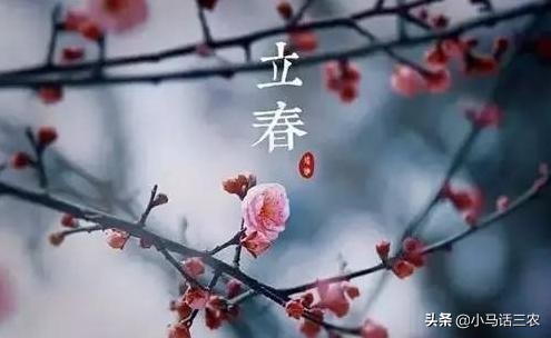 2019年属于双春年吗,2020双春年是哪几天