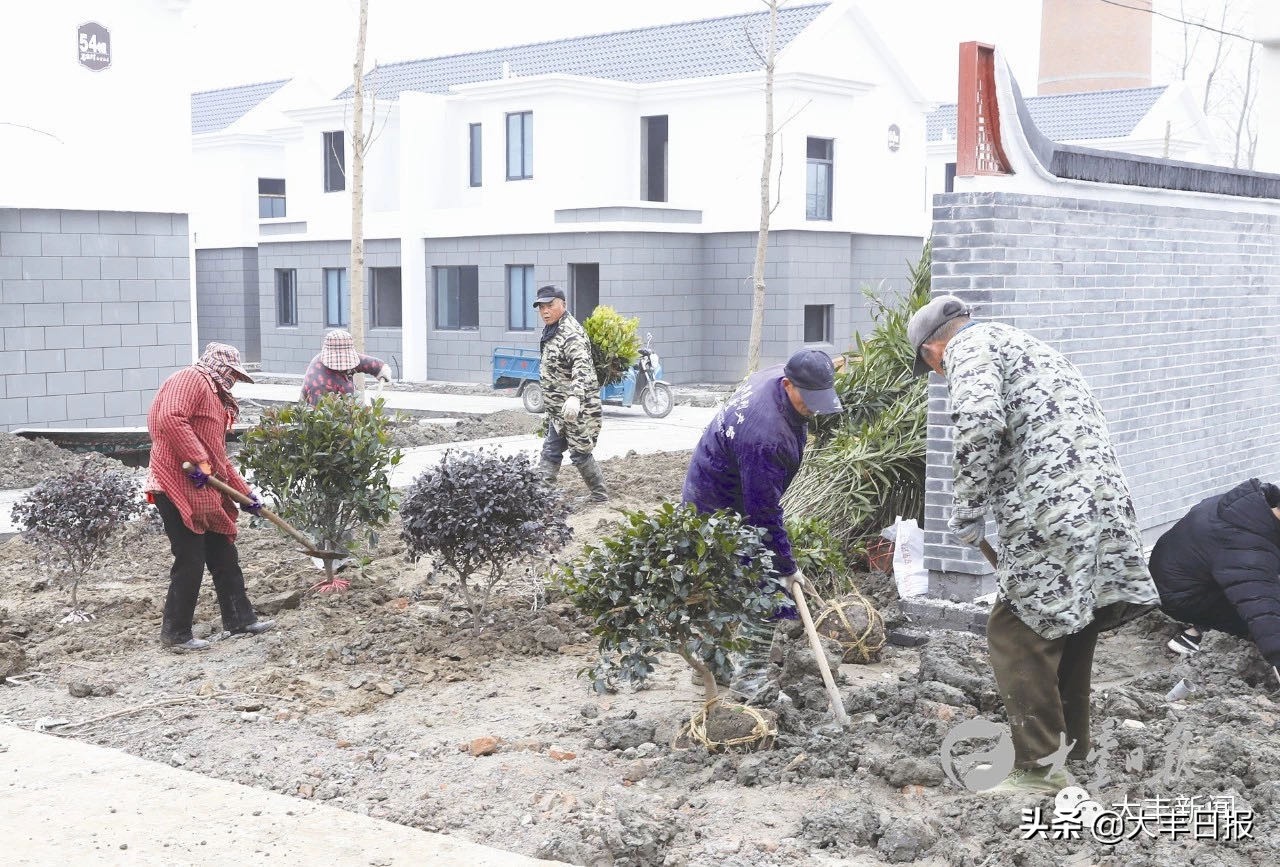 盐城大丰livehouse,盐城大丰区适合居住吗