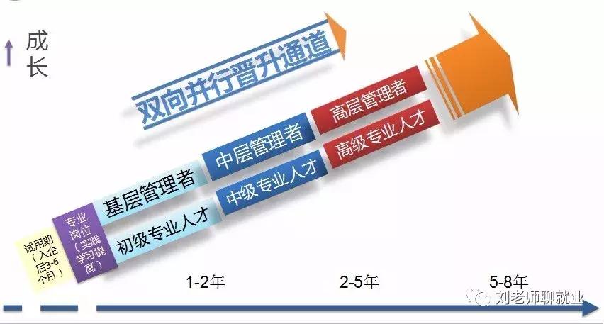 赛轮金宇公司,赛轮金宇集团最新消息