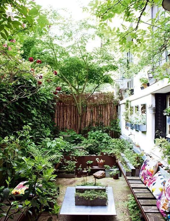 种植小树苗的正确步骤图片,新种植的小树苗一个月能长啥样