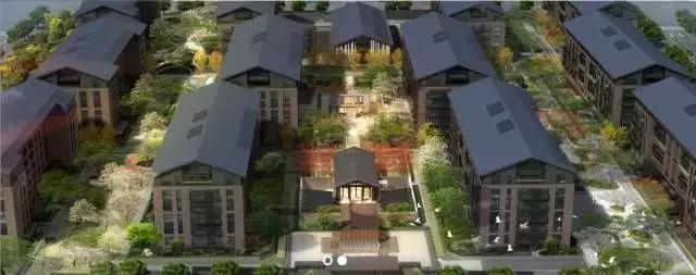 盘点郑州这些C位出道的热盘