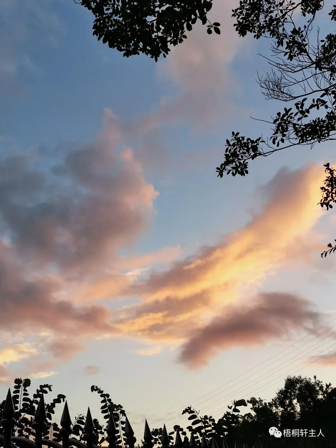 五彩斑斓秋之美,最美广州秋