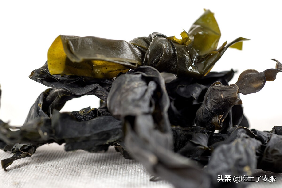 大米生虫子了怎么清除,大米生虫子怎么彻底清除